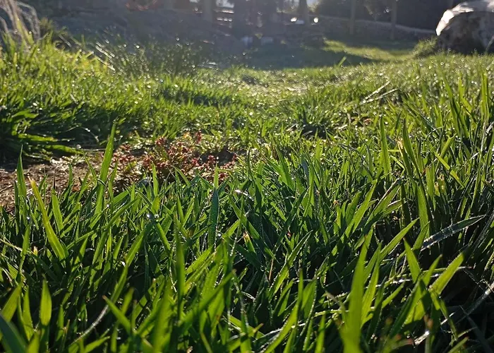 Gospodarstwo wiejskie Casa Lela